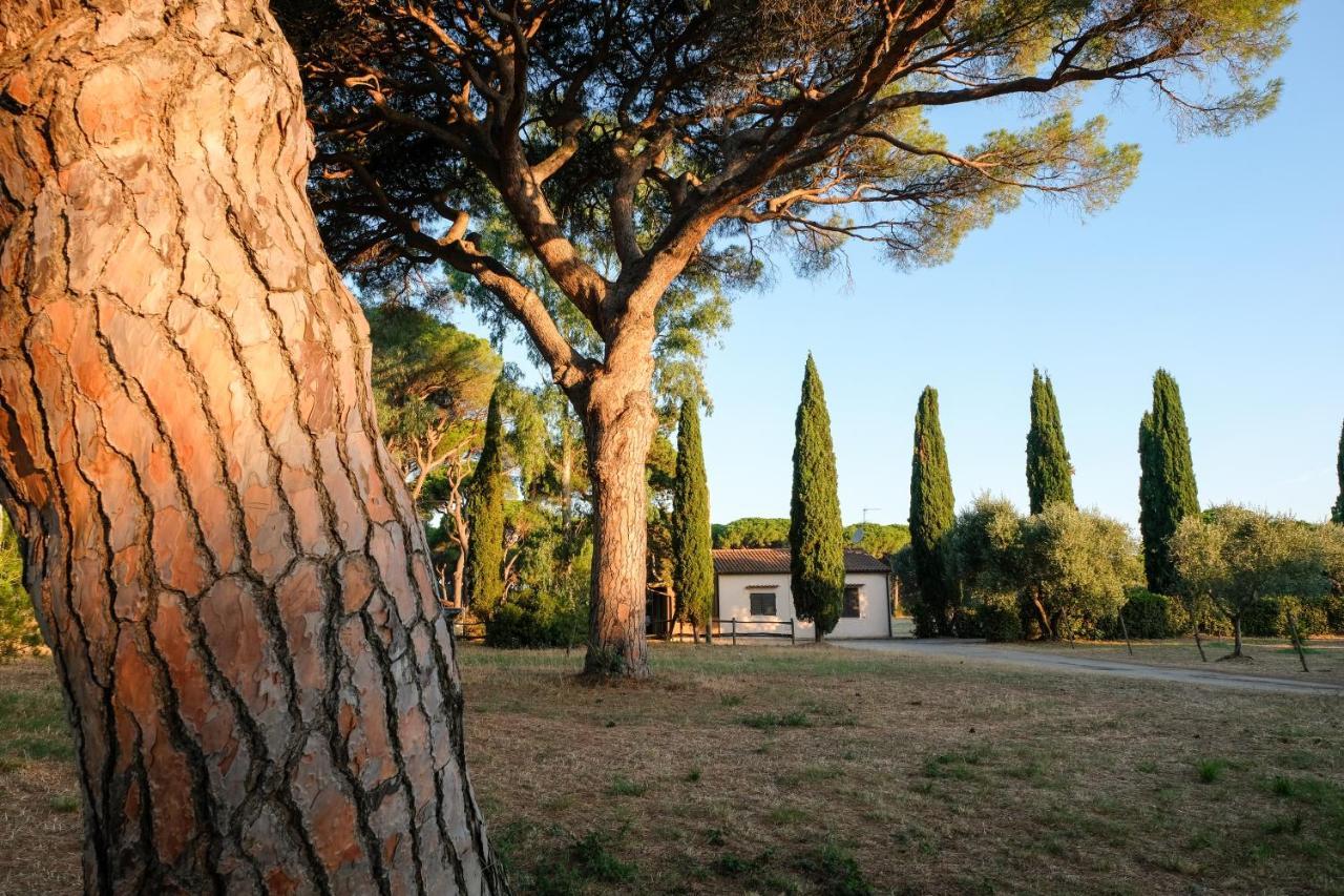 Residence La Canova II 그레세토 외부 사진