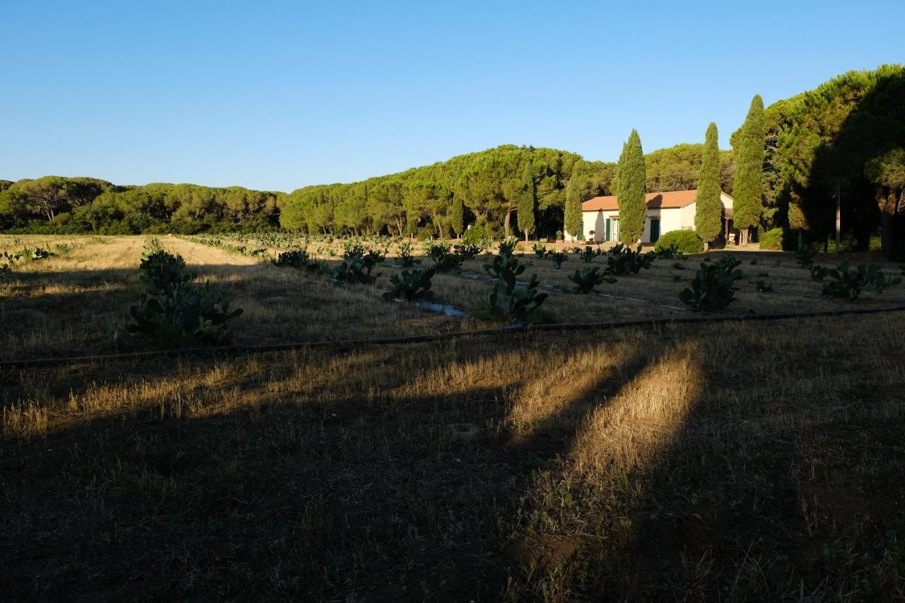 Residence La Canova II 그레세토 외부 사진